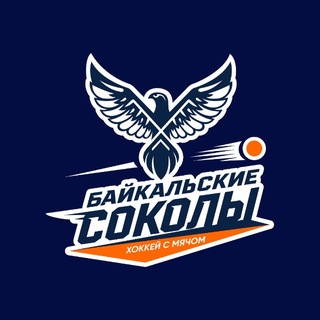 ХК «Байкальские Соколы»