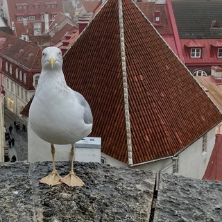Baltic.here