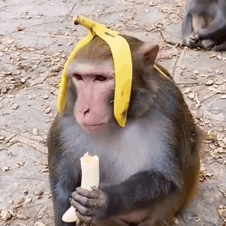 🍌Banancha🦶Лало Бiбiзянка🐒 (Bh44/Лало)🪬