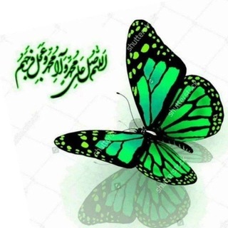 💚برڪاتـِ14معصوم💚