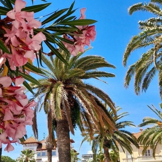 ۪ ๋࣭𝐛𝐞๑𝐝𝐭𝐨𝐩𝐩🌺