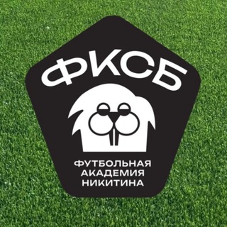 Футбольная Академия Никитина