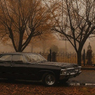 𝑩𝒆𝒇𝒐𝒓𝒆 𝒕𝒉𝒆 𝑺𝒖𝒏𝒔𝒆𝒕 𝑭𝒂𝒅𝒆𝒔🍂