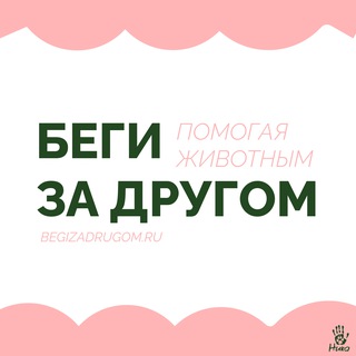 ЗАБЕГ «БЕГИ ЗА ДРУГОМ»