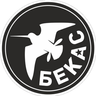 «БЕКАС» - FPV-ДРОНЫ, БЕСПИЛОТНЫЕ ТЕХНОЛОГИИ, АВИАЦИОННЫЕ СИСТЕМЫ🫡🇷🇺