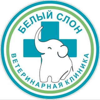 Ветеринарная клиника "Белый слон" 🐶🐱
