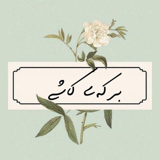 برکه‌ی کاشی؛