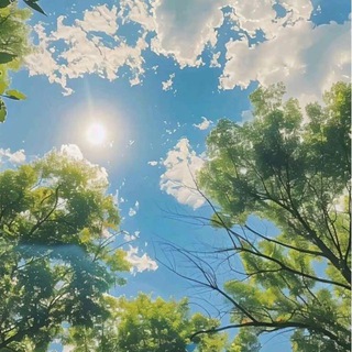 سمَـاء