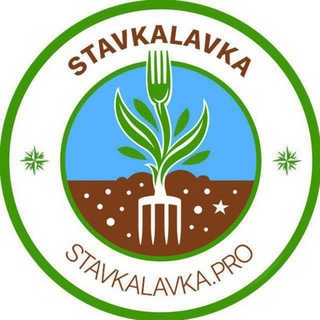 Букмекерские вилки