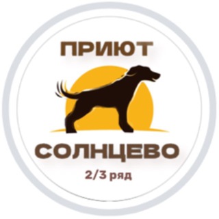 Собаки в приюте Солнцево💛