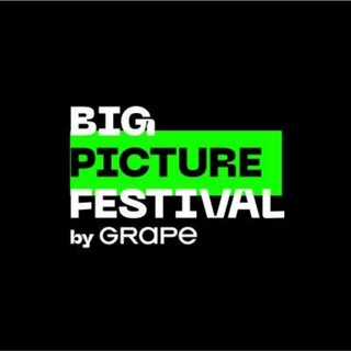 Big Picture Festival