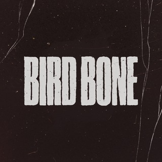 Bird Bone