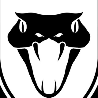 BLACK MAMBA GROUP
