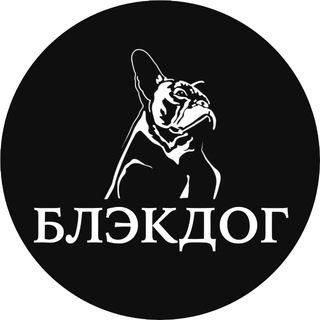 Сеть студий груминга «BlackDog»