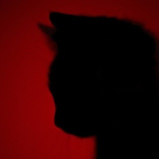 Black kitty