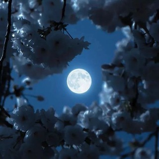 ♡°•❬ يآ روُحـًـًًـًًًـًًـًـي ❭•°♡