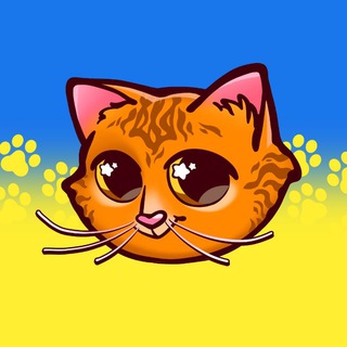 Благокотик (Благодійні Аукціони)