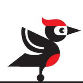 Близкое. Новости проекта