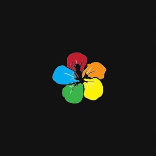 BLOOM фирменные магазины