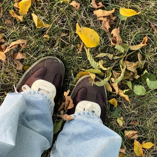 ₊ ࣪ ˖ bless sesh'ko˚⋆ও