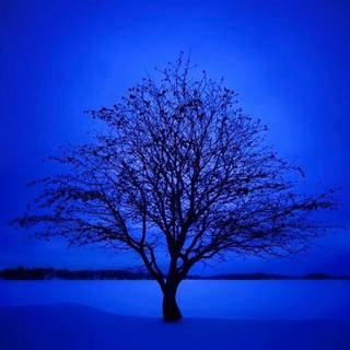 ⒷⓁⓊⒺ 💙♕🌙