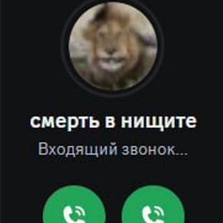 B1yattu пытаеца「16+」