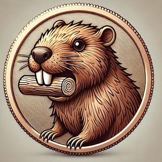 BOBRTON мем криптовалюта🚀