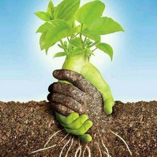 🌾АГРОХИМИЯ 🌱🌿КУШТЕПА🍃🍃🌾
