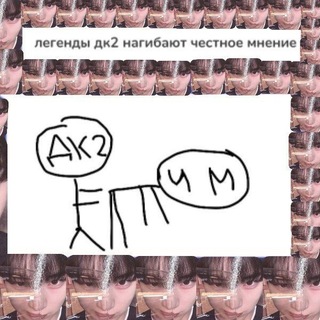 боги картона и редиска🫜