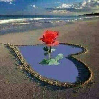 ورود في تربة مالحة🌷