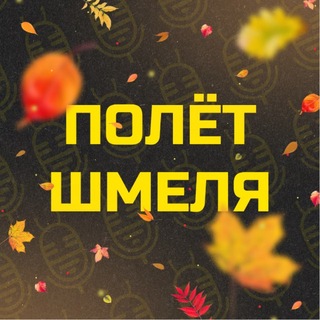 ПШ | Боруссия Дортмунд