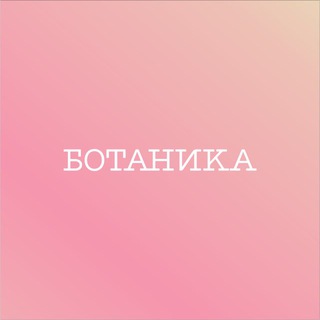 BOTANIKA | Цветы Мурманск | Доставка цветов в Мурманске