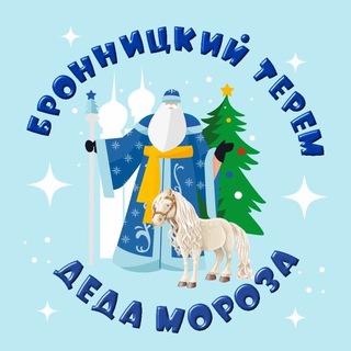 Бронницкий Терем Деда Мороза