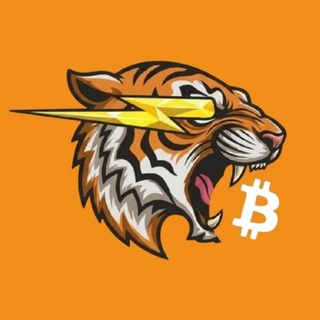 비트코인 실시간 가격 ⚡️