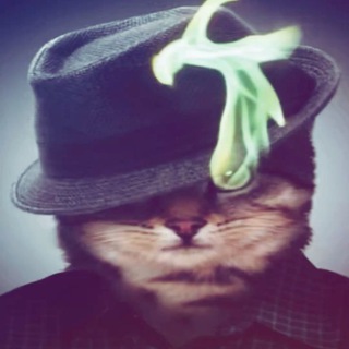 6bubble