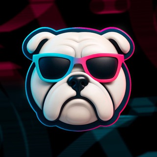 BULLDOGS TEAM