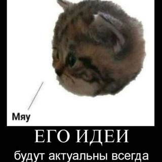 Отсебятина калифорния😋