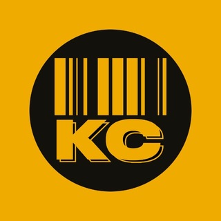 Камеры Слежения