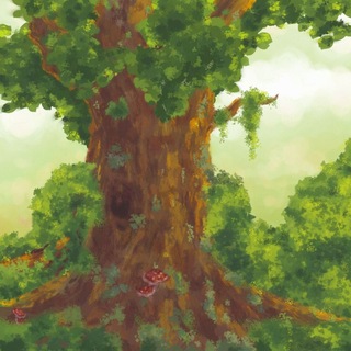 🌳پشمکنبات.°🌧⋆.
