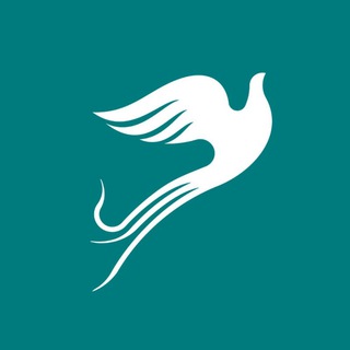 CASPIAN Airlines | هواپیمایی کاسپین