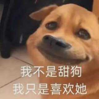 800神教 中转站（黑心猫版🐱）