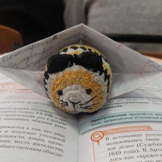 Кот Борис