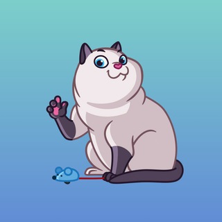 Є КОТИКИ 🐈