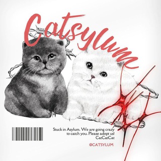 CATSYLUM 🐈‍⬛