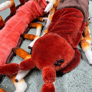 CENTIPEDES cf^_^