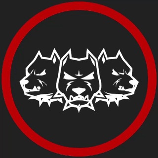 CERBERUS