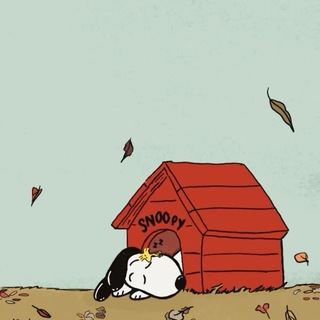 ‘ma maison.