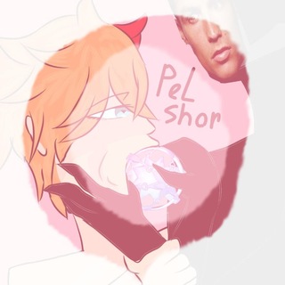 𝑷𝒆𝒍𝑺𝒉𝒐𝒓