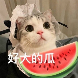 奇趣吃瓜/内涵段子