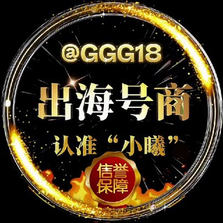 🌍倾城工作室（出海号商）